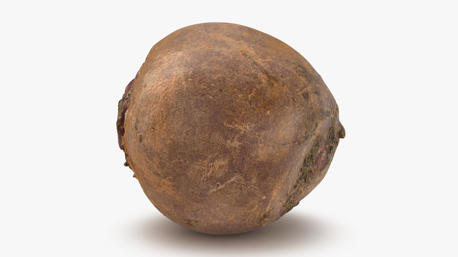 3D Beetroot https://p.turbosquid.com/ts-thumb/iL/abtfRG/I1/beetroot_b0000/jpg/1651065836/1920x1080/fit_q87/0c622f1dd41fc7e51e06b6df1cb6c3f09f49e055/beetroot_b0000.jpg