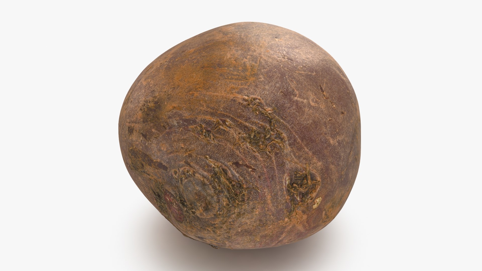 3D Beetroot https://p.turbosquid.com/ts-thumb/iL/abtfRG/Q2/beetroot_b0010/jpg/1651065890/1920x1080/fit_q87/2ea63c15bb239c649ebfffb0f3cccb0cefd4cbca/beetroot_b0010.jpg