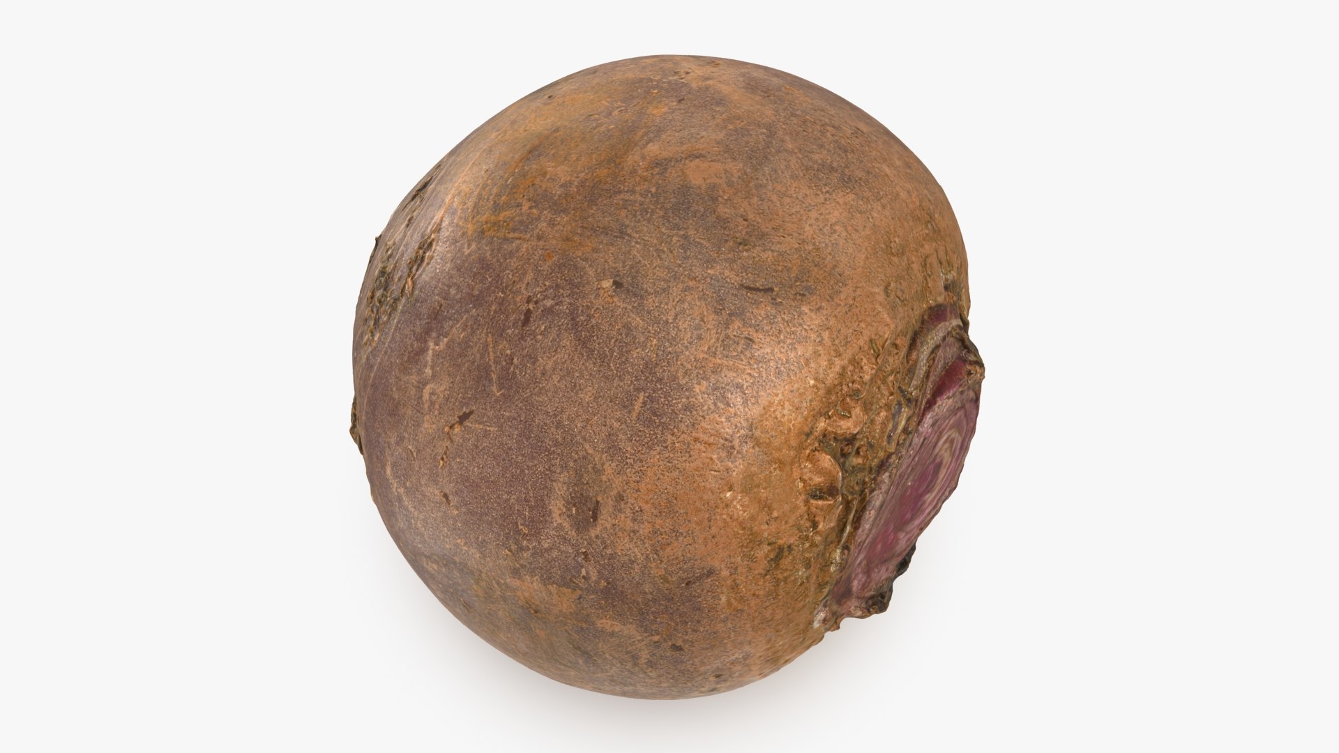 3D Beetroot https://p.turbosquid.com/ts-thumb/iL/abtfRG/SZ/beetroot_b0004/jpg/1651065879/1920x1080/fit_q87/d7c1c7416b6a71ccd0a71aede22772ba8fa1811d/beetroot_b0004.jpg