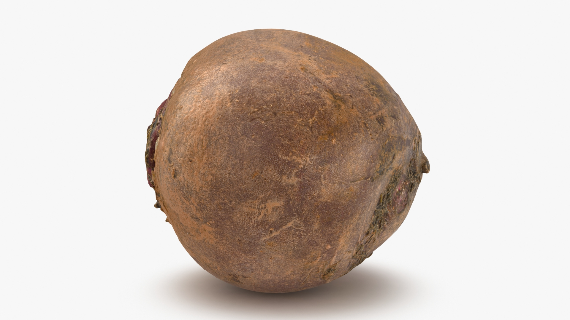 3D Beetroot https://p.turbosquid.com/ts-thumb/iL/abtfRG/VZ/beetroot/jpg/1651065706/1920x1080/turn_fit_q99/6e7ecd6ebb4109cfcaec3bbc75d430ddd708be7b/beetroot-1.jpg