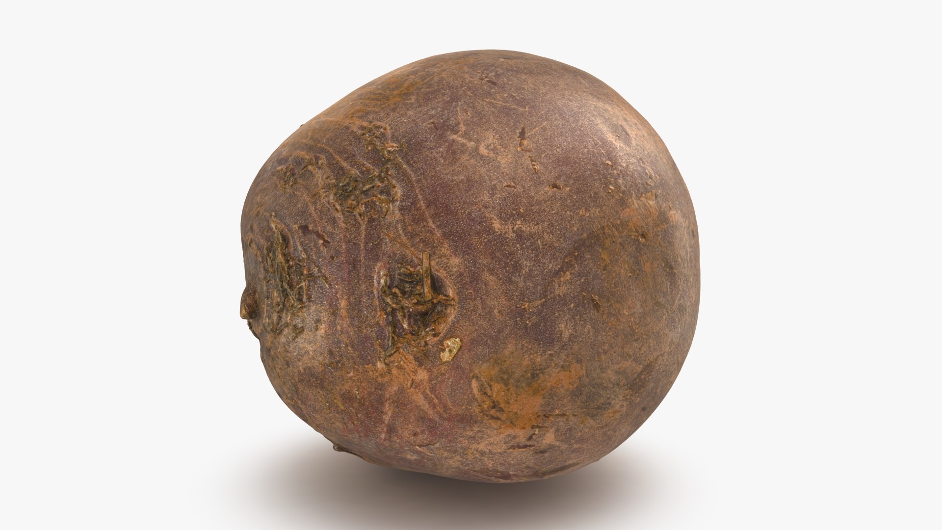 3D Beetroot https://p.turbosquid.com/ts-thumb/iL/abtfRG/b7/beetroot_b0008/jpg/1651065889/1920x1080/fit_q87/e28a6de6840320464d891fb332a1728511e0b01e/beetroot_b0008.jpg
