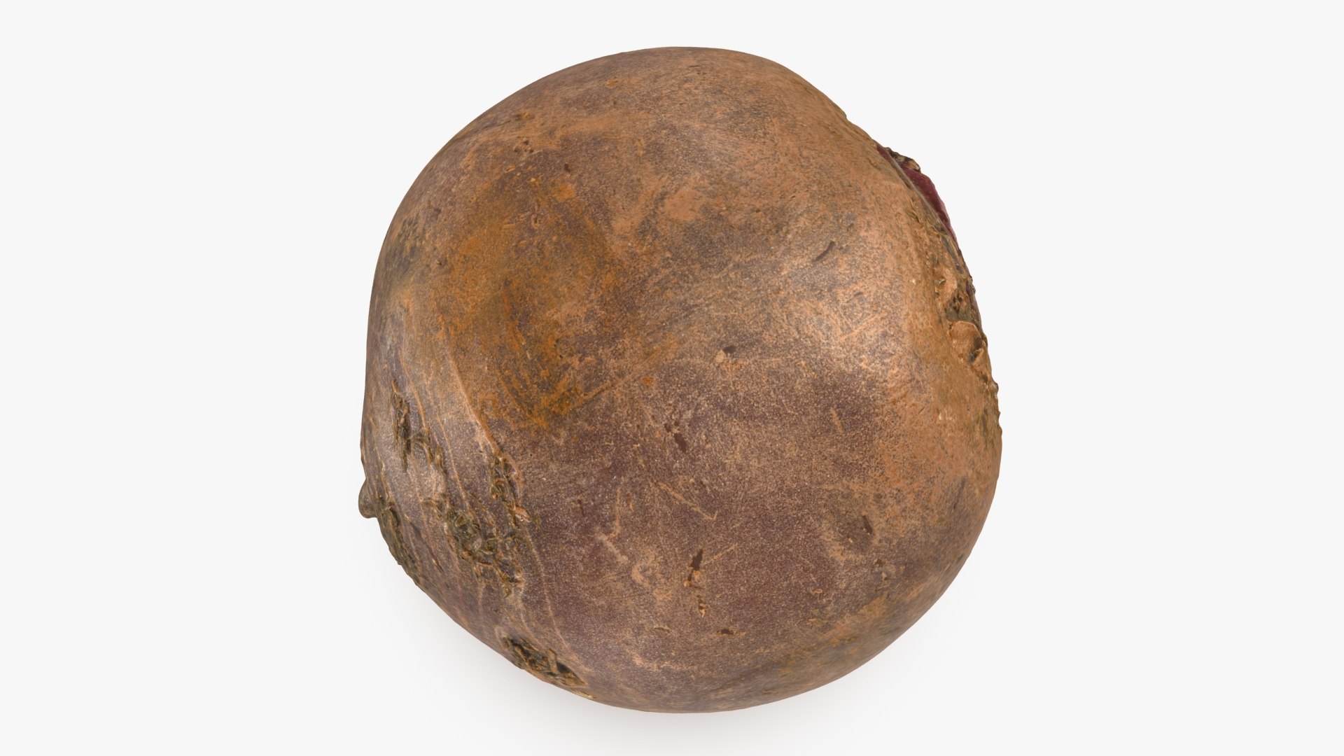 3D Beetroot https://p.turbosquid.com/ts-thumb/iL/abtfRG/sO/beetroot_b0020/jpg/1651065827/1920x1080/fit_q87/39931c8354dfb7550823522c9f8f969f3e41e8ca/beetroot_b0020.jpg
