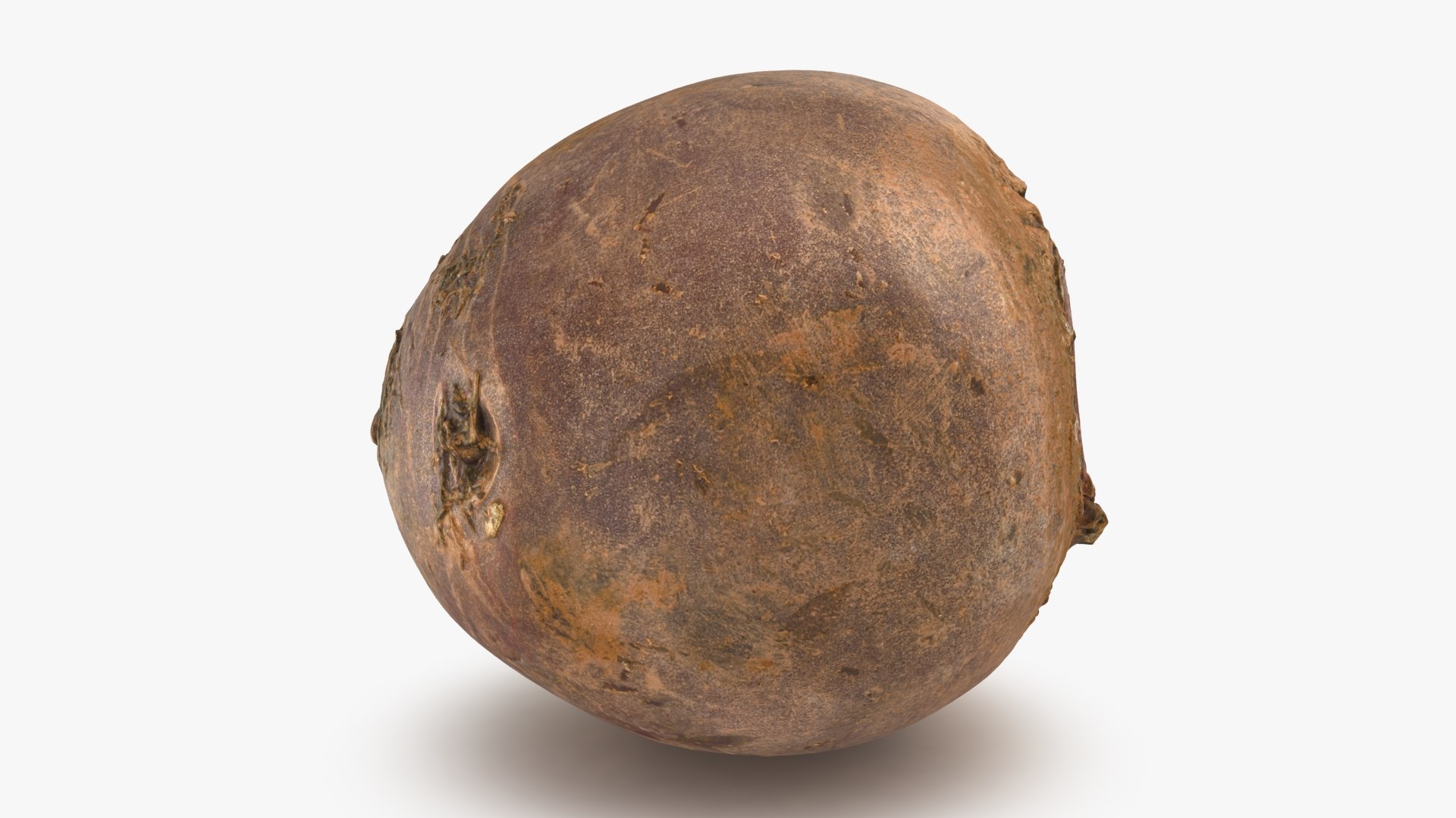 3D Beetroot https://p.turbosquid.com/ts-thumb/iL/abtfRG/wU/beetroot_b0006/jpg/1651065891/1920x1080/fit_q87/ee5368089218a4fc8cee82493cf0df5814b754ae/beetroot_b0006.jpg
