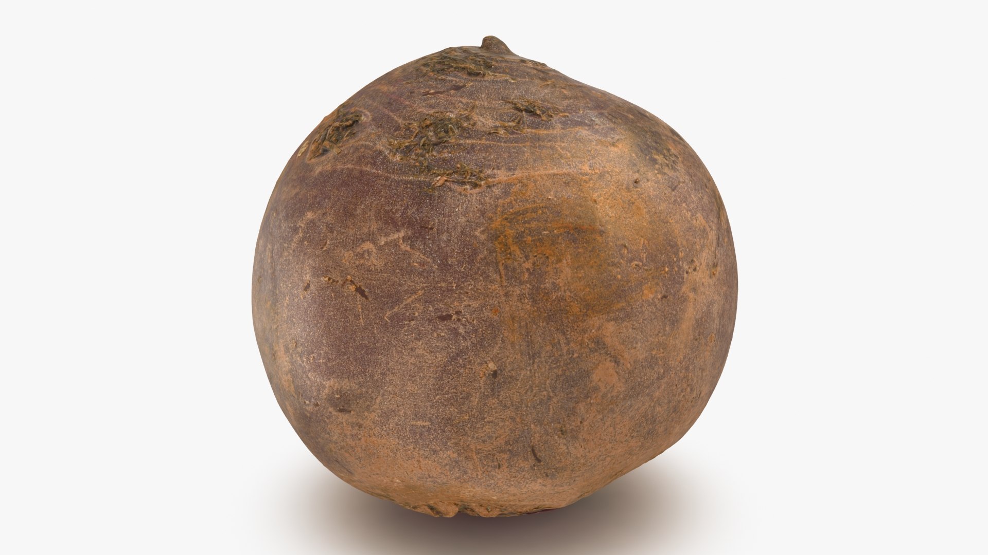 3D Beetroot https://p.turbosquid.com/ts-thumb/iL/abtfRG/yS/beetroot_b0024/jpg/1651065839/1920x1080/fit_q87/341120edfee66d39a9b6af7b1daab6014bd106cb/beetroot_b0024.jpg