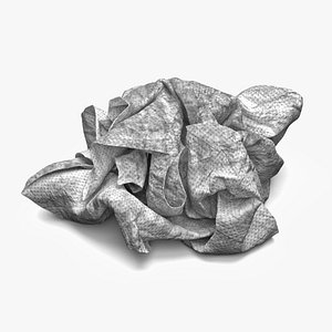 Napkin Crumpled Dirty 3D
