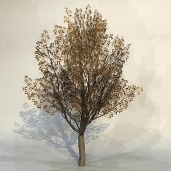 maya pc tree