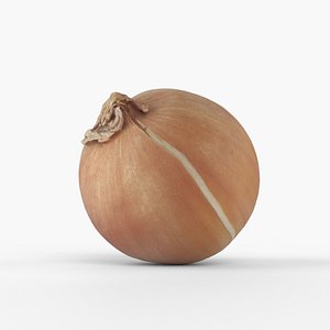 3D Photorealistic 3D scan of onion