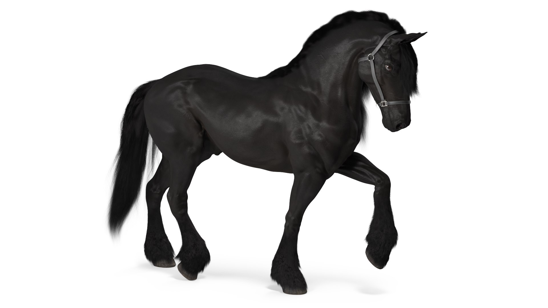 3D Friesian Horse Fur Rigged model https://p.turbosquid.com/ts-thumb/iL/sXHC7K/42/friesianhorsefurriggedvray3dmodel006/jpg/1706839002/1920x1080/fit_q87/201377d6ac7c01c89e3c99be534cc2a12d3d9d36/friesianhorsefurriggedvray3dmodel006.jpg