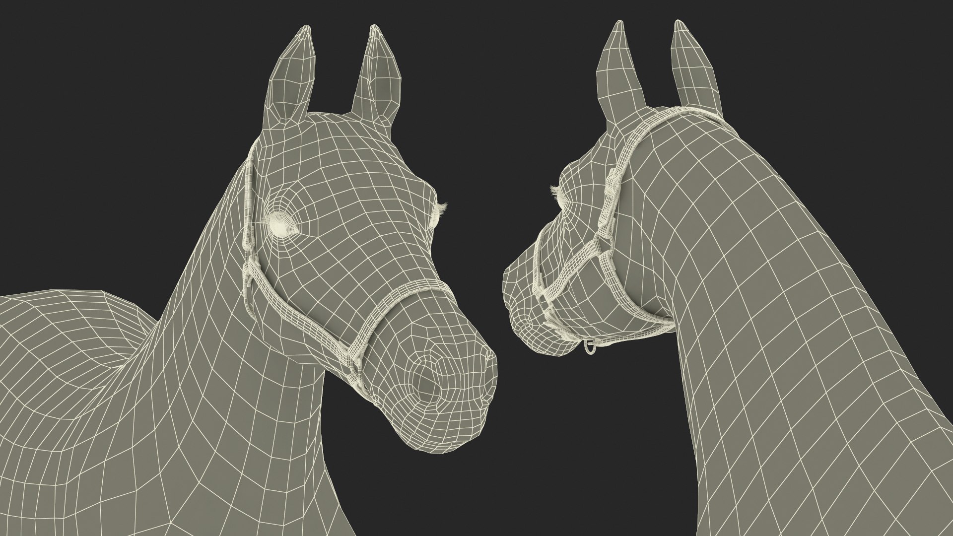 3D Friesian Horse Fur Rigged model https://p.turbosquid.com/ts-thumb/iL/sXHC7K/4H/friesianhorsefurriggedvray3dmodel023/jpg/1706839076/1920x1080/fit_q87/e8992a7272f30ef22b4cb8a70fc642c852a10110/friesianhorsefurriggedvray3dmodel023.jpg