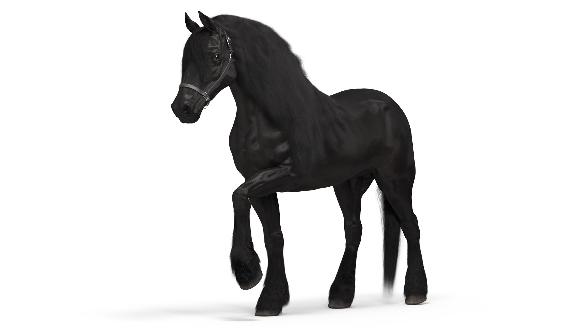 Friesian Horse Fur Rigged 3D model preview