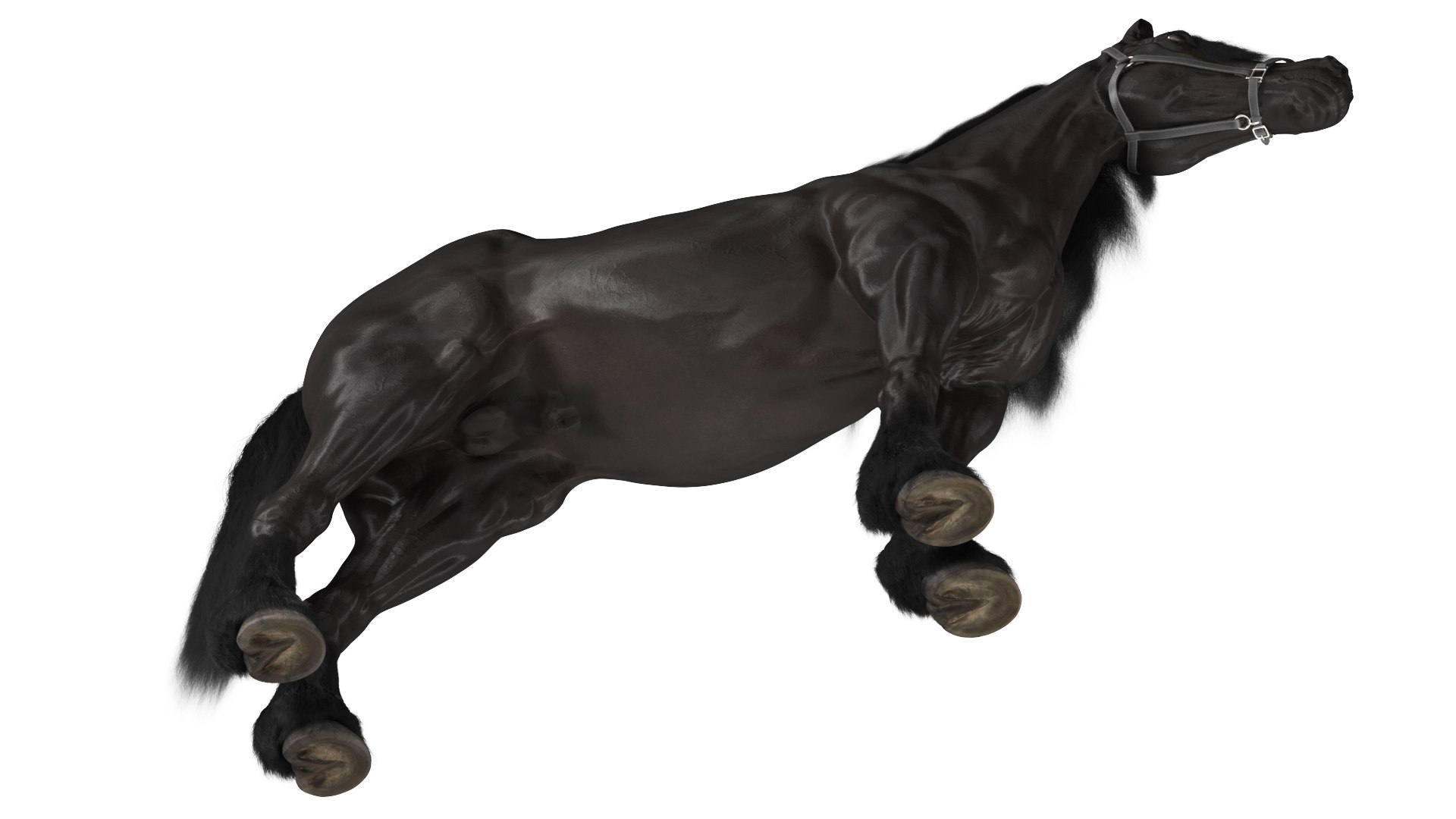 3D Friesian Horse Fur Rigged model https://p.turbosquid.com/ts-thumb/iL/sXHC7K/IO/friesianhorsefurriggedvray3dmodel014/jpg/1706839038/1920x1080/fit_q87/311fe0b9837d1abe489c11aa90a05a51e2502d0a/friesianhorsefurriggedvray3dmodel014.jpg