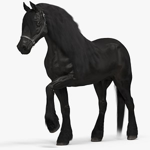 3D Friesian Horse Fur Rigged model