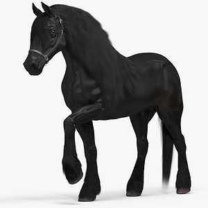 Friesian Horse Fur Rigged