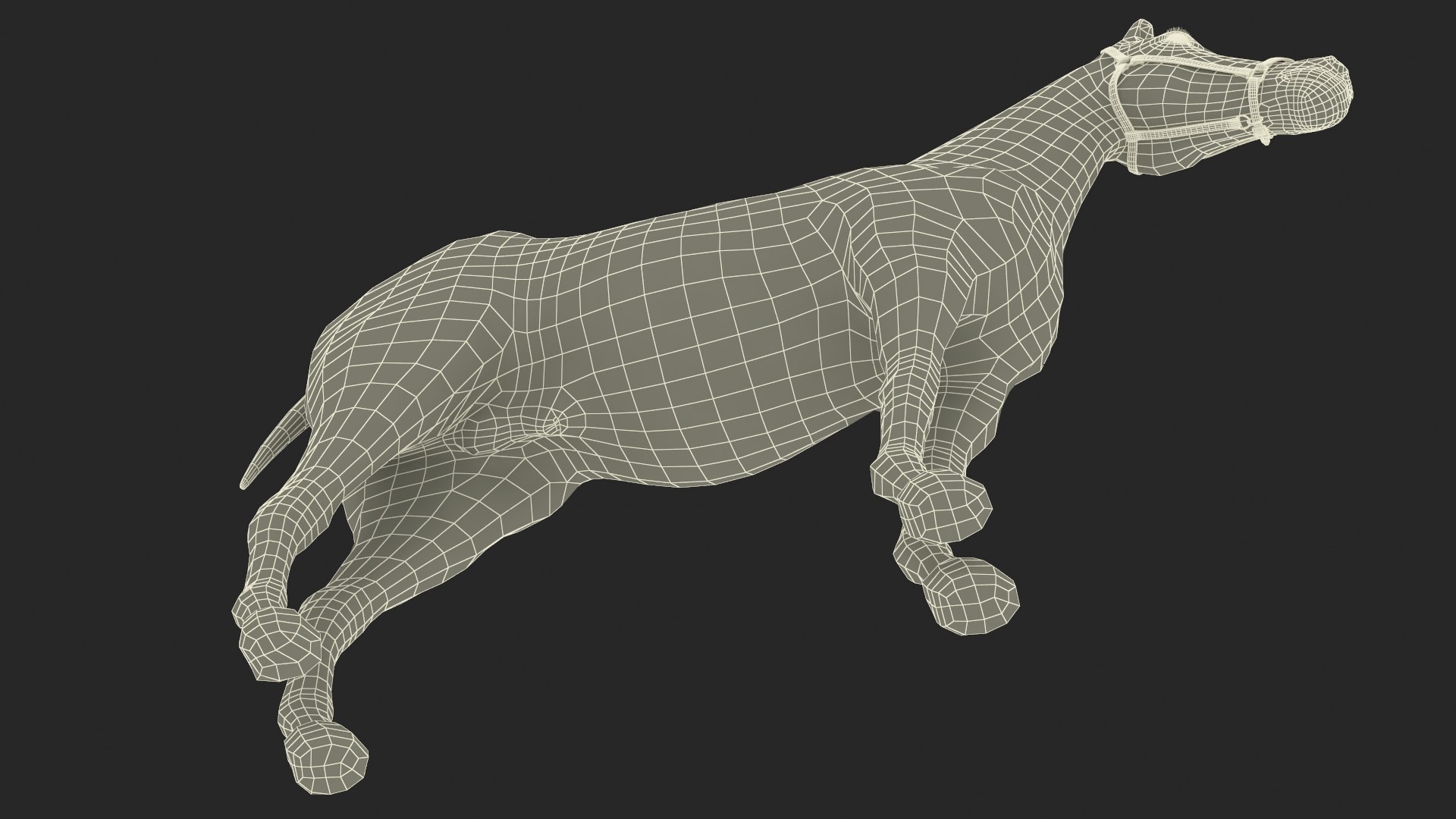 3D Friesian Horse Fur Rigged model https://p.turbosquid.com/ts-thumb/iL/sXHC7K/Vd/friesianhorsefurriggedvray3dmodel026/jpg/1706839090/1920x1080/fit_q87/4ed7057879d109ec78738c75feea0ac7abc5fdea/friesianhorsefurriggedvray3dmodel026.jpg