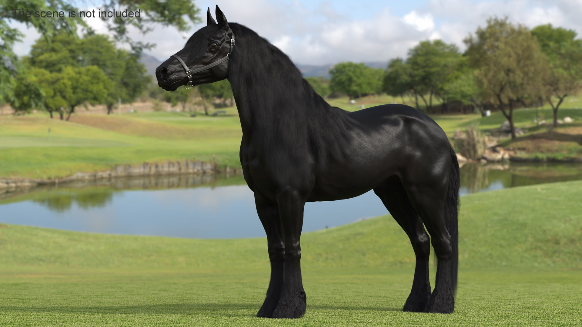 3D Friesian Horse Fur Rigged model https://p.turbosquid.com/ts-thumb/iL/sXHC7K/Wh/friesianhorsefurriggedvray3dmodel002/jpg/1706838983/1920x1080/fit_q87/b1a9d2b045196638516046fcebb50e4b8384b1f2/friesianhorsefurriggedvray3dmodel002.jpg