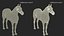 Fourrure de cheval frison gréée