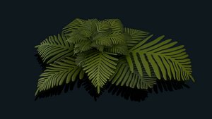 Stylized Plant Fern Free low-poly 3D model