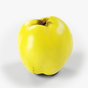 Quince 01 3D model