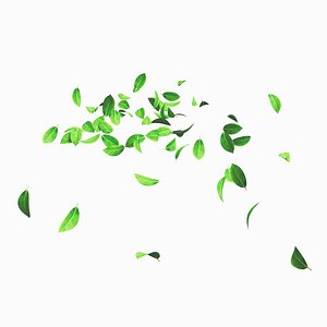 3D Leaf  - Leaves -Includes drag and drop texture 3D Assets