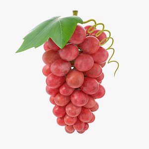 Cartoon Grapes Red