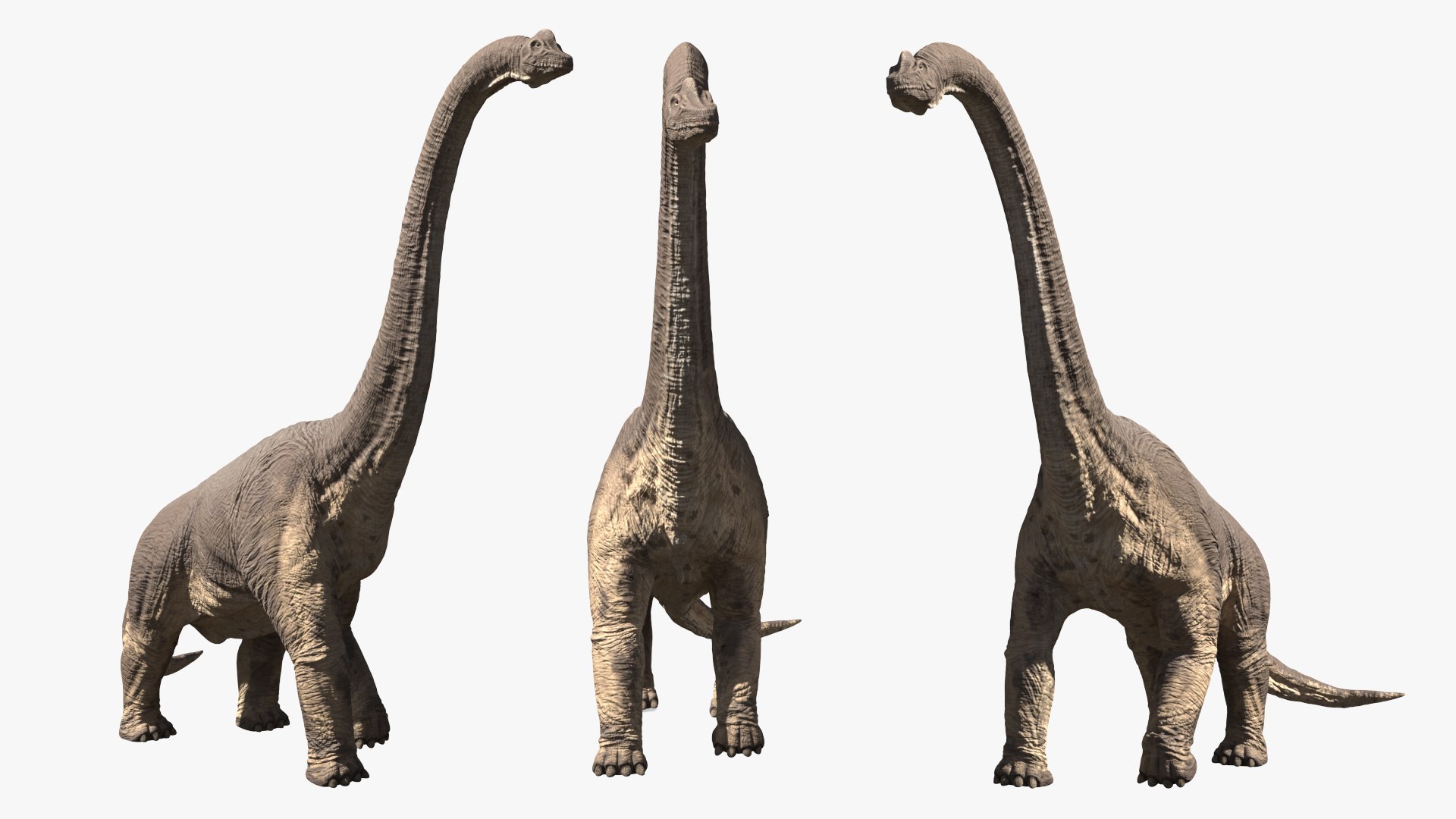 Brachiosaurus Dinosaur Rigged 3D https://p.turbosquid.com/ts-thumb/iM/GF3xCy/9Z/brachiosaurus_dinosaur_rigged_009/jpg/1743771413/1920x1080/fit_q87/5d29f62ee7b3f51a2ab64fcd29474ae87dfaf4d7/brachiosaurus_dinosaur_rigged_009.jpg