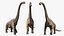 Brachiosaurus Dinosaur Rigged