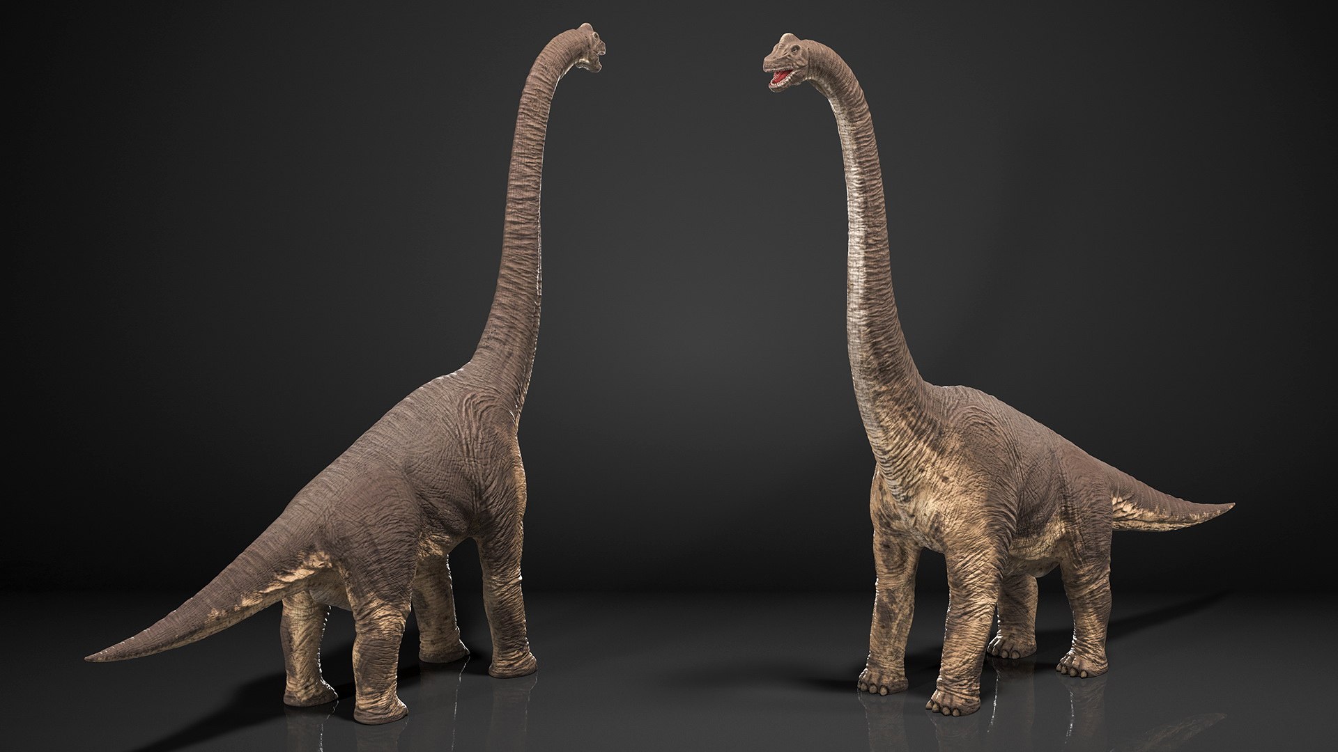 Brachiosaurus Dinosaur Rigged 3D https://p.turbosquid.com/ts-thumb/iM/GF3xCy/HM/brachiosaurus_dinosaur_rigged_008/jpg/1743771405/1920x1080/fit_q87/0bc05de5fa3e95c5a182ef30471ce86e9f99fd0d/brachiosaurus_dinosaur_rigged_008.jpg