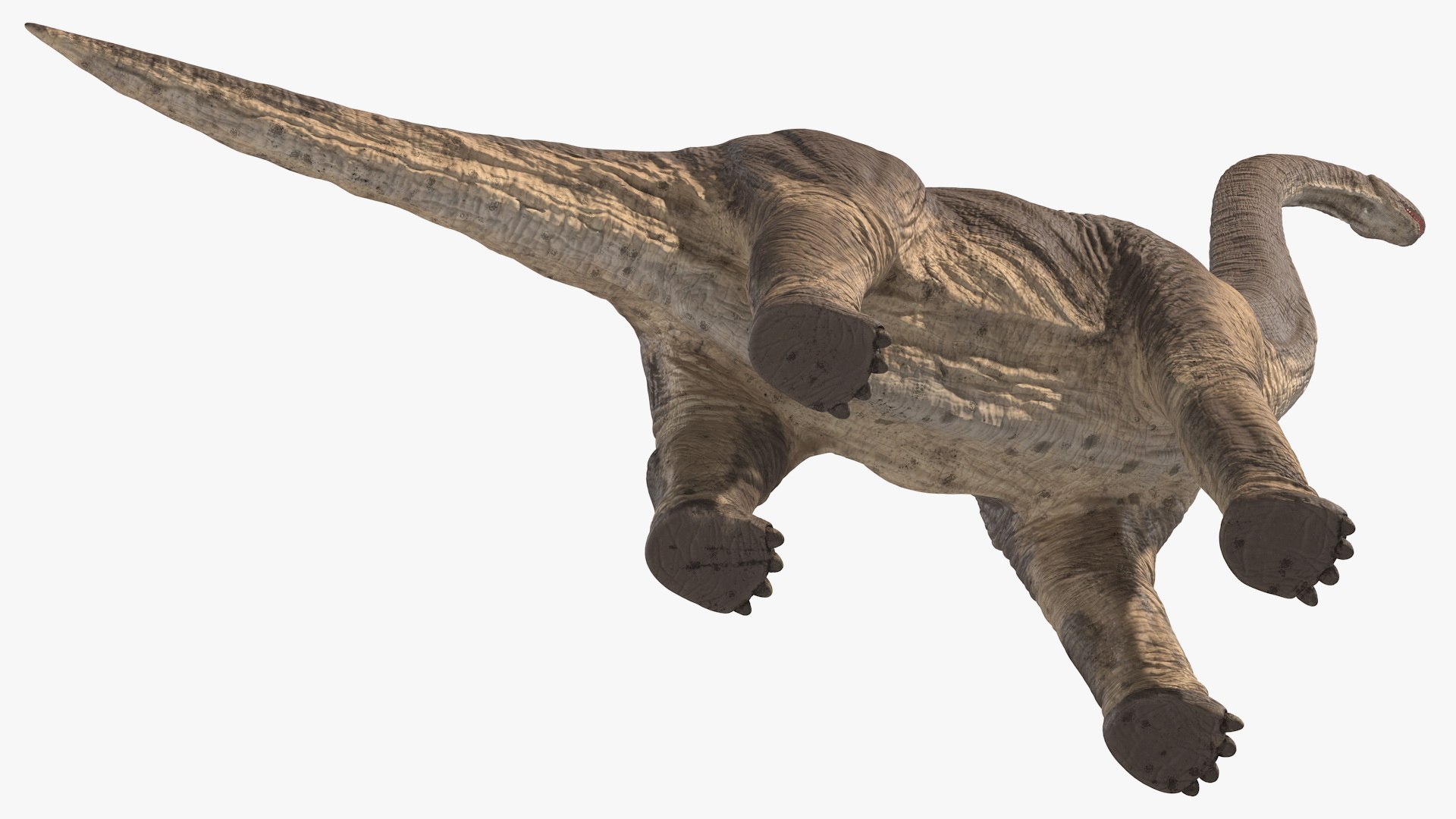 Brachiosaurus Dinosaur Rigged 3D https://p.turbosquid.com/ts-thumb/iM/GF3xCy/Vy/brachiosaurus_dinosaur_rigged_012/jpg/1743771430/1920x1080/fit_q87/1b684b25de2afe5fd626b2d1cdccb1e12a30e17b/brachiosaurus_dinosaur_rigged_012.jpg