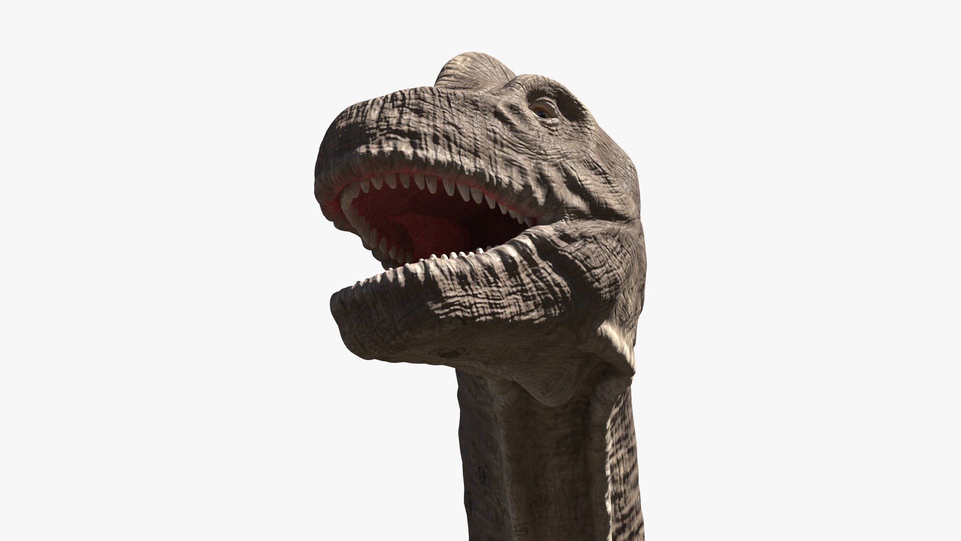 Brachiosaurus Dinosaur Rigged 3D https://p.turbosquid.com/ts-thumb/iM/GF3xCy/X3/brachiosaurus_dinosaur_rigged_017/jpg/1743771451/1920x1080/fit_q87/ad5df986812d8c2b831bdf8cdb4b0be5fb9ab330/brachiosaurus_dinosaur_rigged_017.jpg