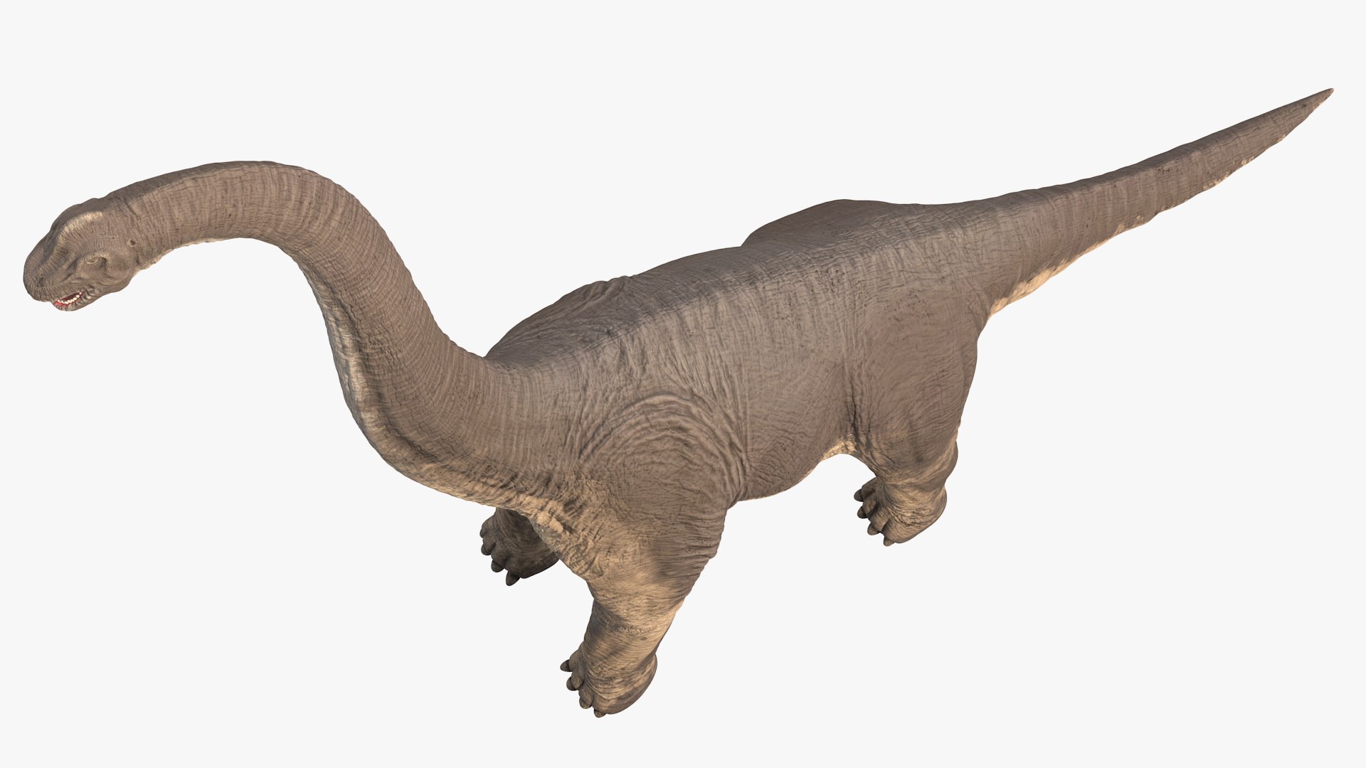 Brachiosaurus Dinosaur Rigged 3D https://p.turbosquid.com/ts-thumb/iM/GF3xCy/yS/brachiosaurus_dinosaur_rigged_011/jpg/1743771426/1920x1080/fit_q87/60b1c7df951cc3033c3dcddce609b1a82cb0d580/brachiosaurus_dinosaur_rigged_011.jpg
