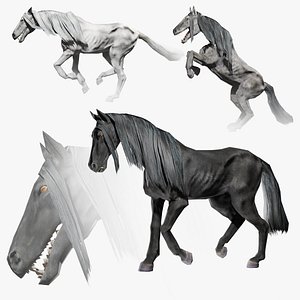 Kelpie Horse Animated