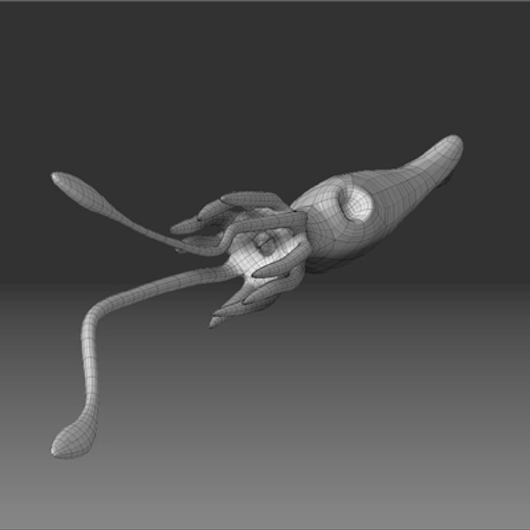 maya giant squid https://p.turbosquid.com/ts-thumb/iM/Y54oi4/v3TGh3fs/squid_wire02/jpg/1215624301/1920x1080/fit_q87/3bb81281e49425fed44084371194c354bf21c427/squid_wire02.jpg