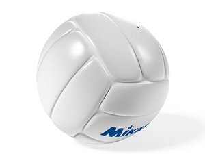 leather volleyball ma