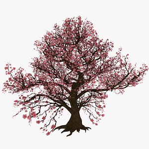 PeachBlossom 3D model