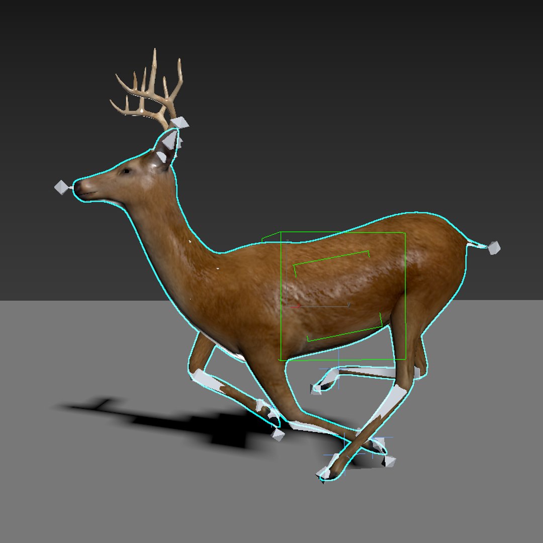 deer rigging 3D model https://p.turbosquid.com/ts-thumb/iM/dld7L7/E1tnV22n/deer_th_08/jpg/1503403044/1920x1080/fit_q87/55c9038155299efde12be41cf0d68f9987ea6434/deer_th_08.jpg