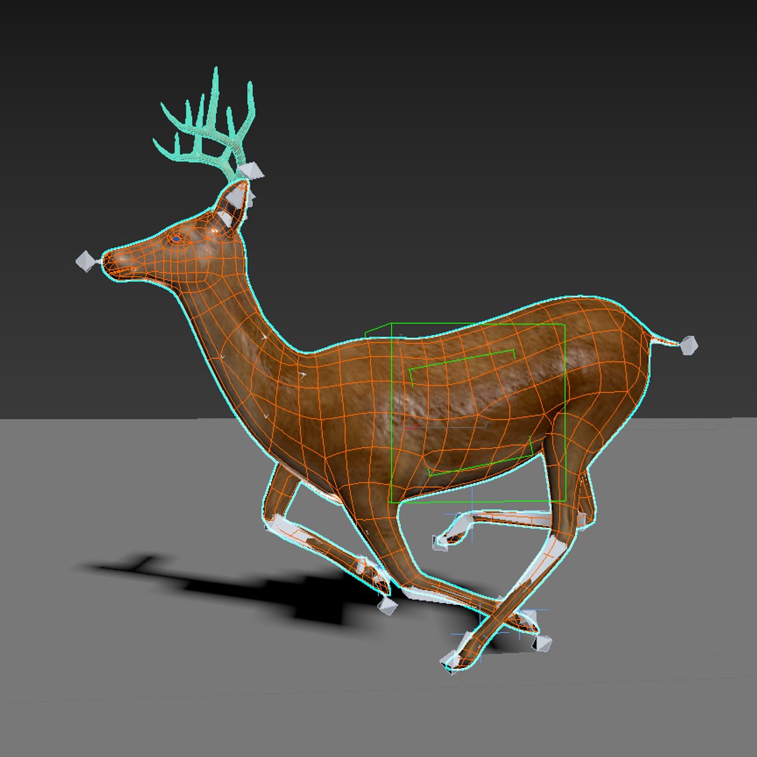 deer rigging 3D model https://p.turbosquid.com/ts-thumb/iM/dld7L7/LsgwXz0i/deer_th_09/jpg/1503403044/1920x1080/fit_q87/fe98c5515e8594d5cce95d96556ca902ecd20fe7/deer_th_09.jpg