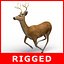 Deer (Rigged)