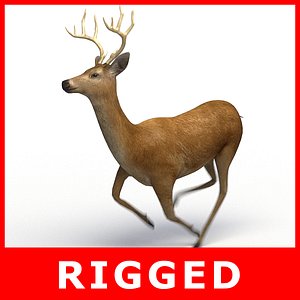 Deer (Rigged)