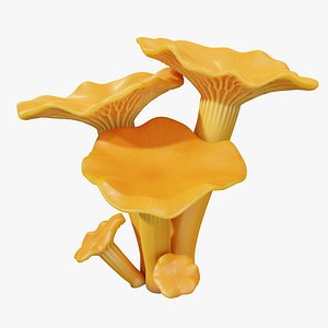 Glowing Chanterelle Mushroom Cluster PBR
