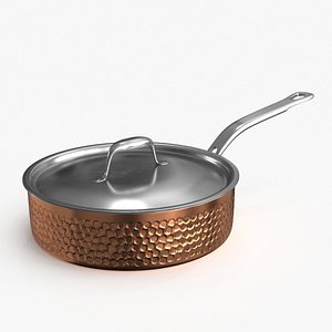 Stainless Steel Cookware Pan v2