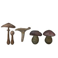 mushrooms