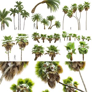 3D 6Different SETS of Tree Set Vol 35 model