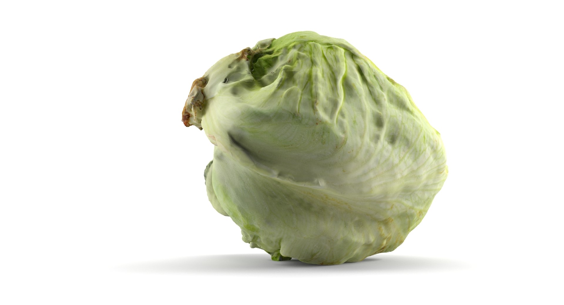 3dm Lettuce Scan