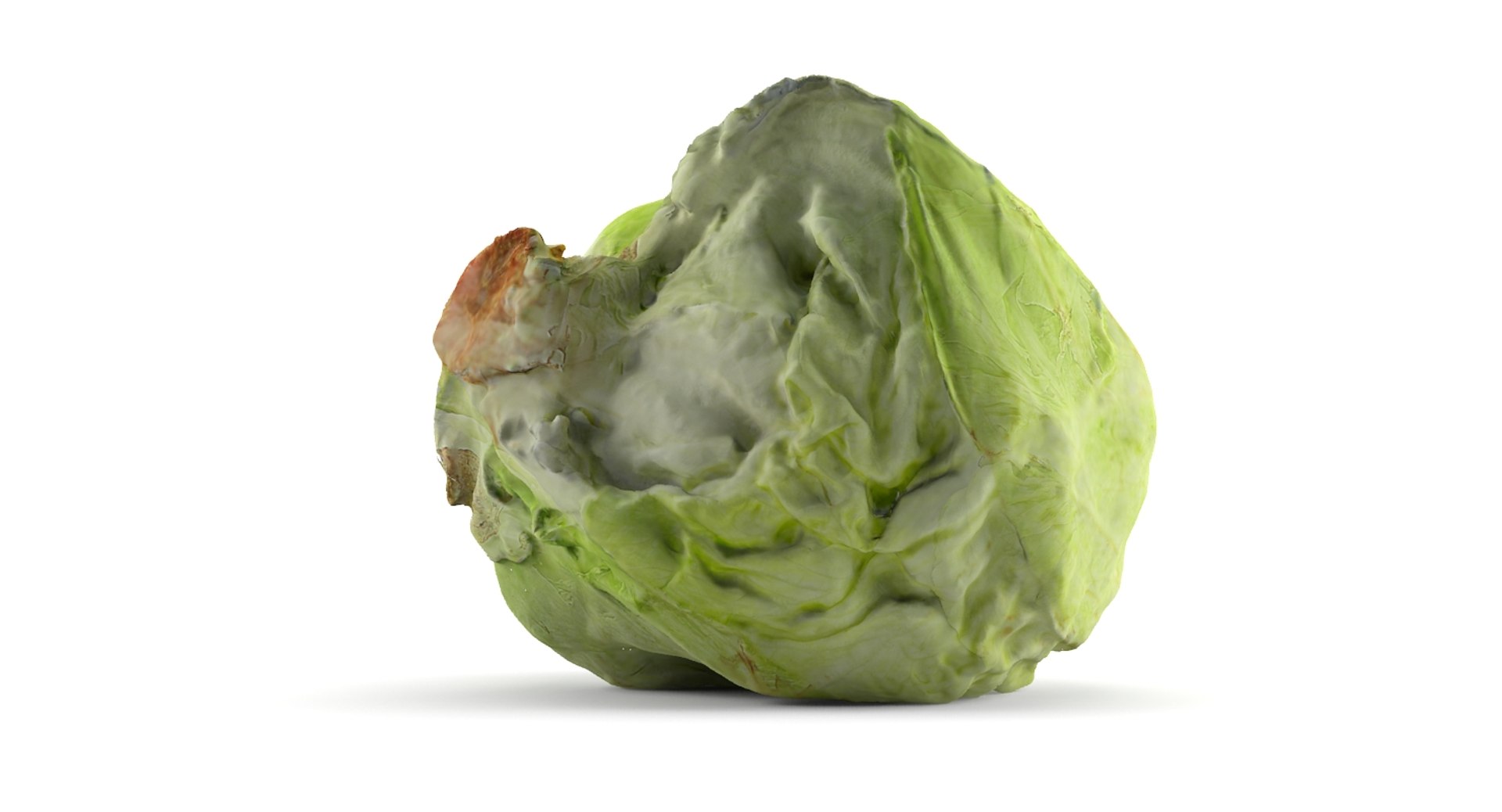 3dm Lettuce Scan
