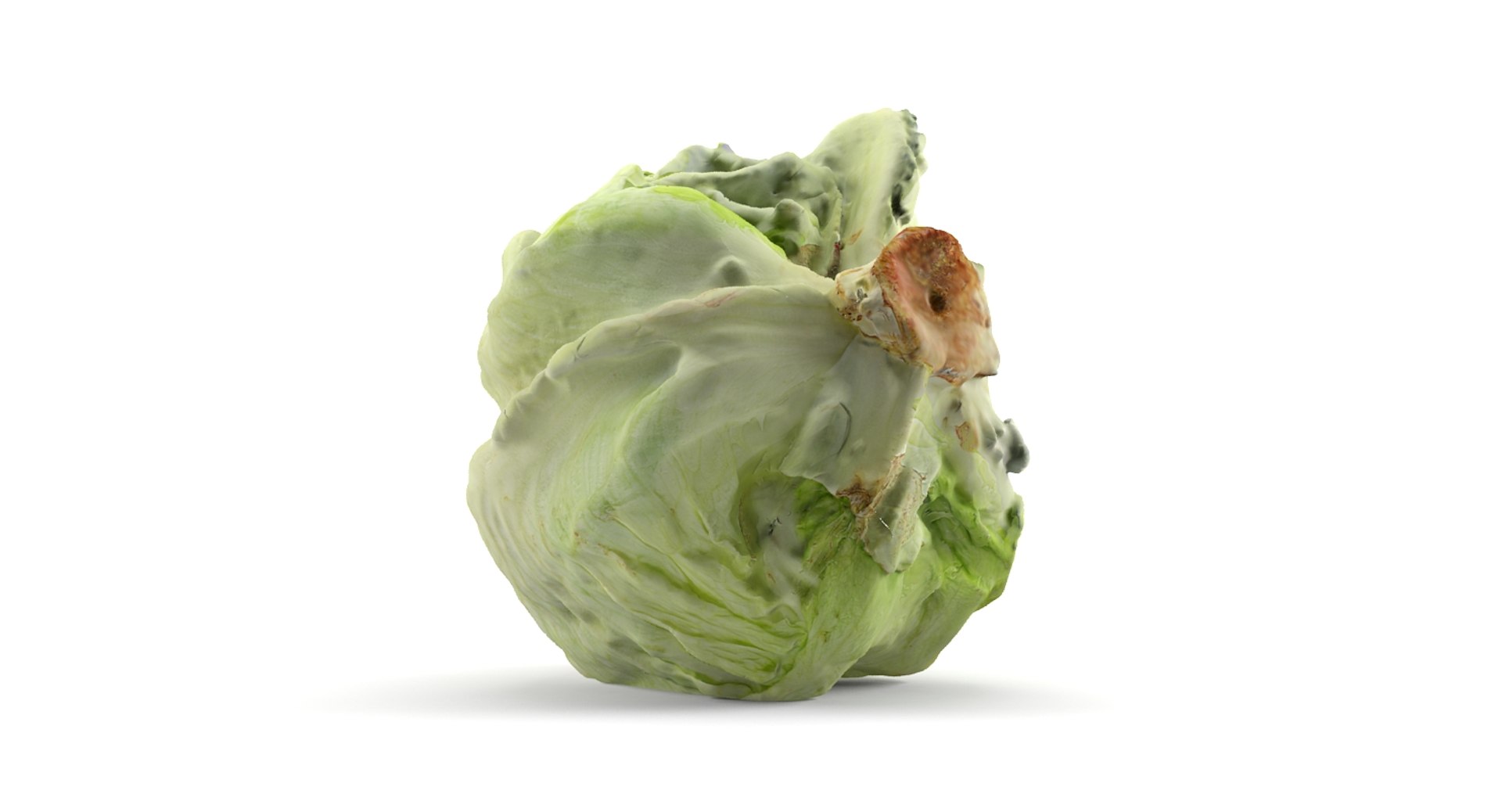 3dm Lettuce Scan