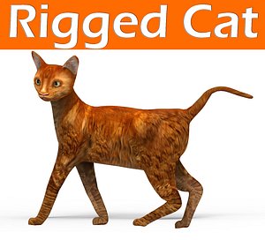 3D cat rigged