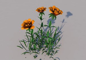 3D roses yellow model