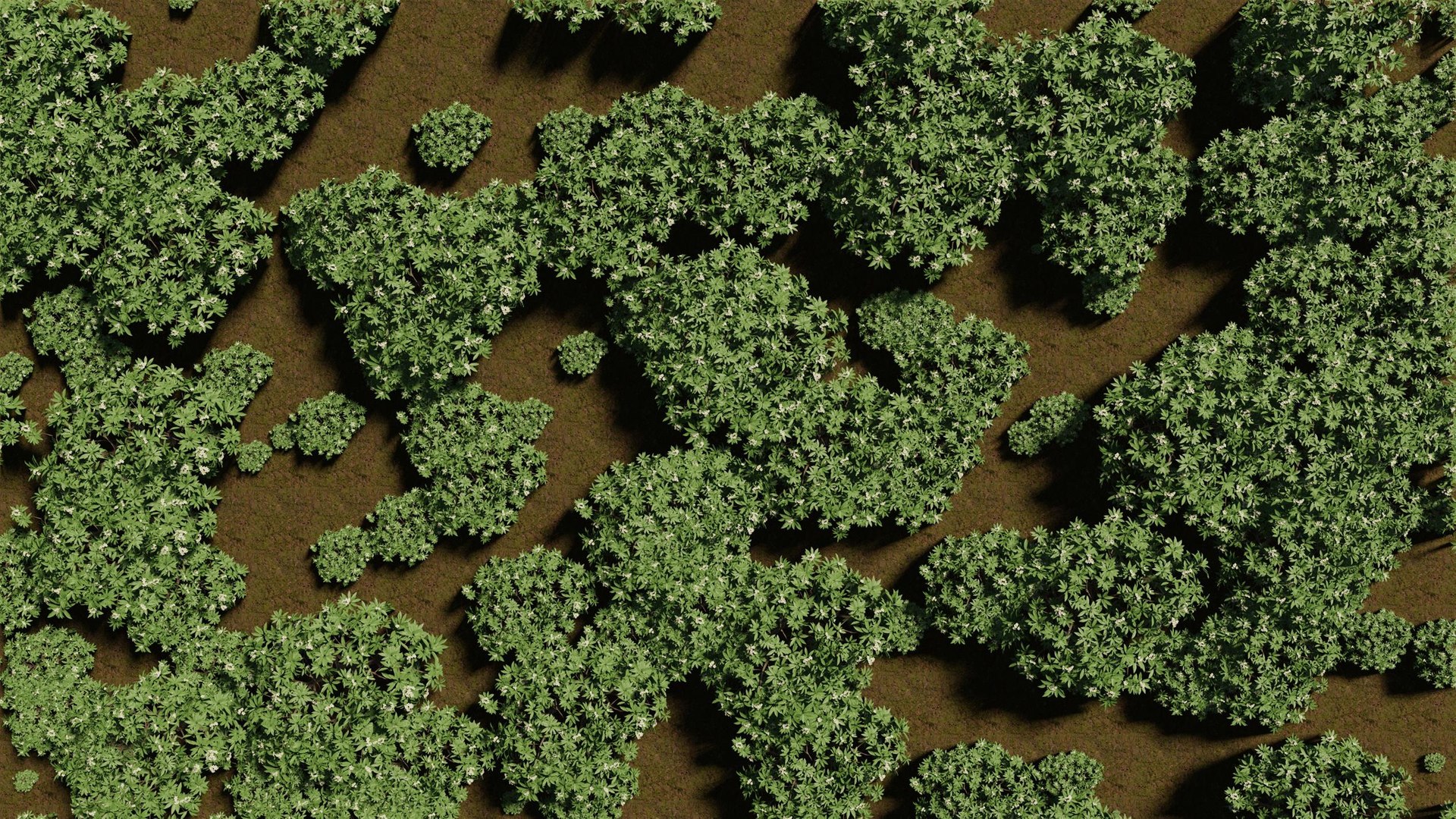 3D model Tiny forest https://p.turbosquid.com/ts-thumb/iN/KfxU5r/0S/2022la.0016/jpg/1659335495/1920x1080/fit_q87/0acd72447d7e3fd78ac4c553dcce96c8ed71f54a/2022la.0016.jpg