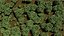 3D model Tiny forest