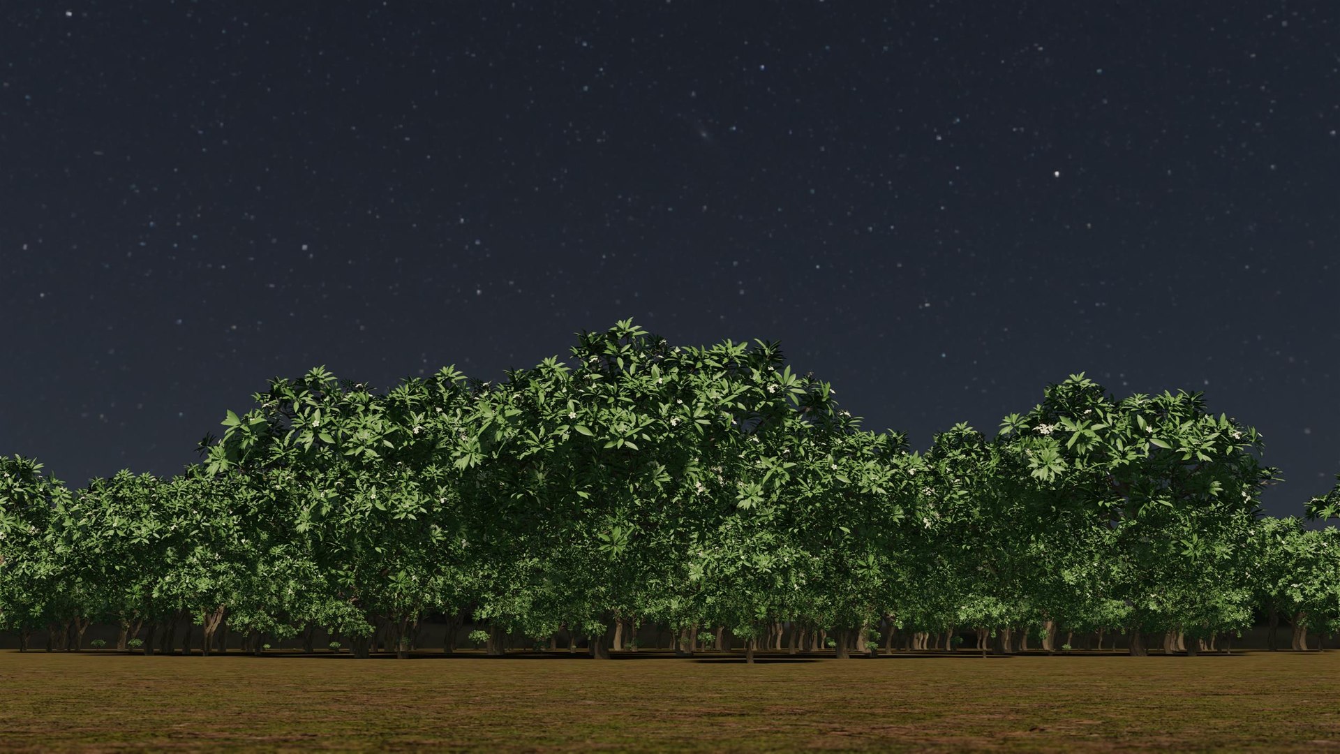 3D model Tiny forest https://p.turbosquid.com/ts-thumb/iN/KfxU5r/2F/2022la.0014/jpg/1659335497/1920x1080/fit_q87/58a8dd835e37e6eb0c521970a9f93b4f963ea368/2022la.0014.jpg